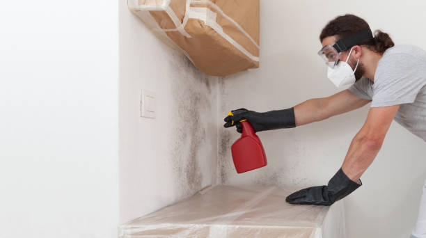 Professional Basement Mold Removal technician working in Barrington, NJ