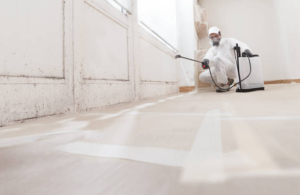 24/7 Emergency Basement Mold Removal experts in Barrington, NJ